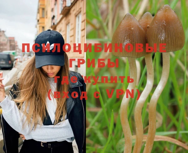 spice Лихославль