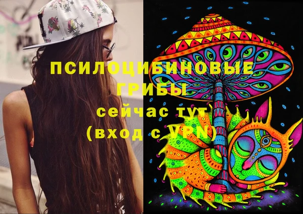 spice Лихославль
