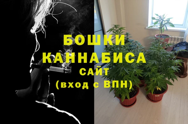spice Лихославль