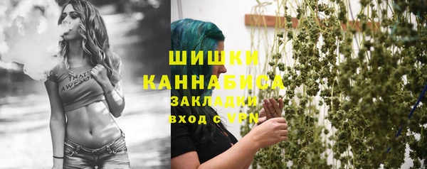 соль ск Лиски