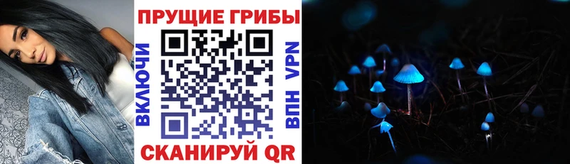 как найти   Фрязино  Псилоцибиновые грибы мицелий 