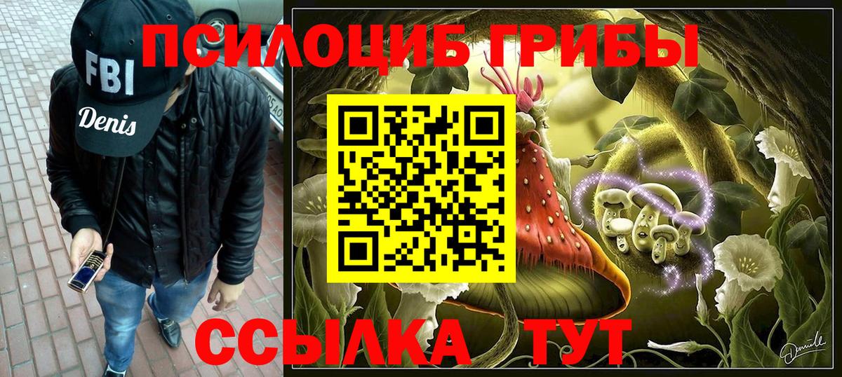 где продают наркотики  Вход с VPN  Фрязино  Псилоцибиновые грибы ЛСД 